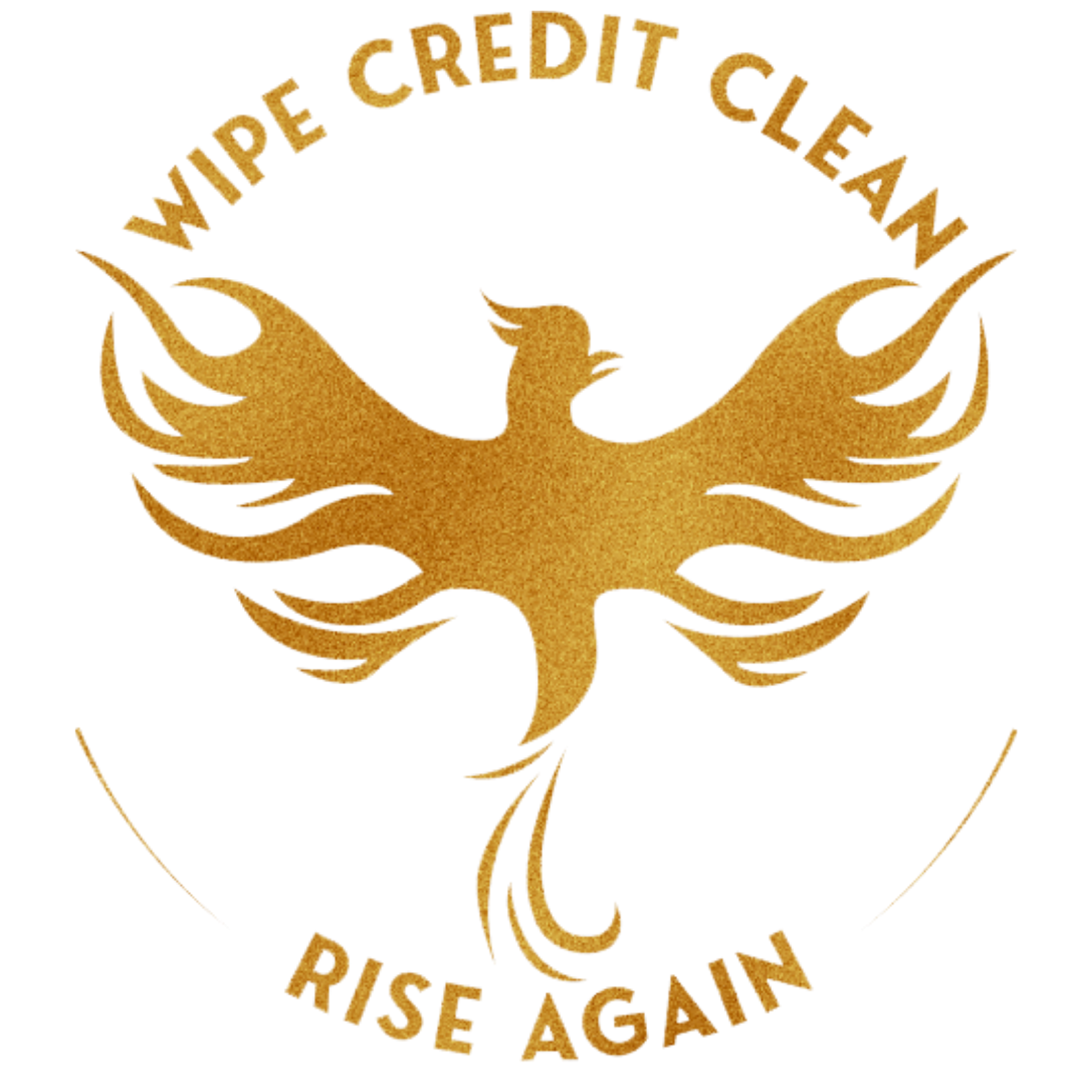 Wipe Credit Clean